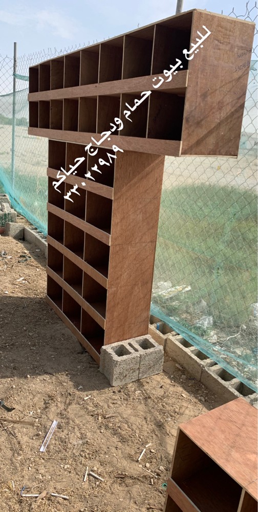 Pigeons and chickens sale - 3