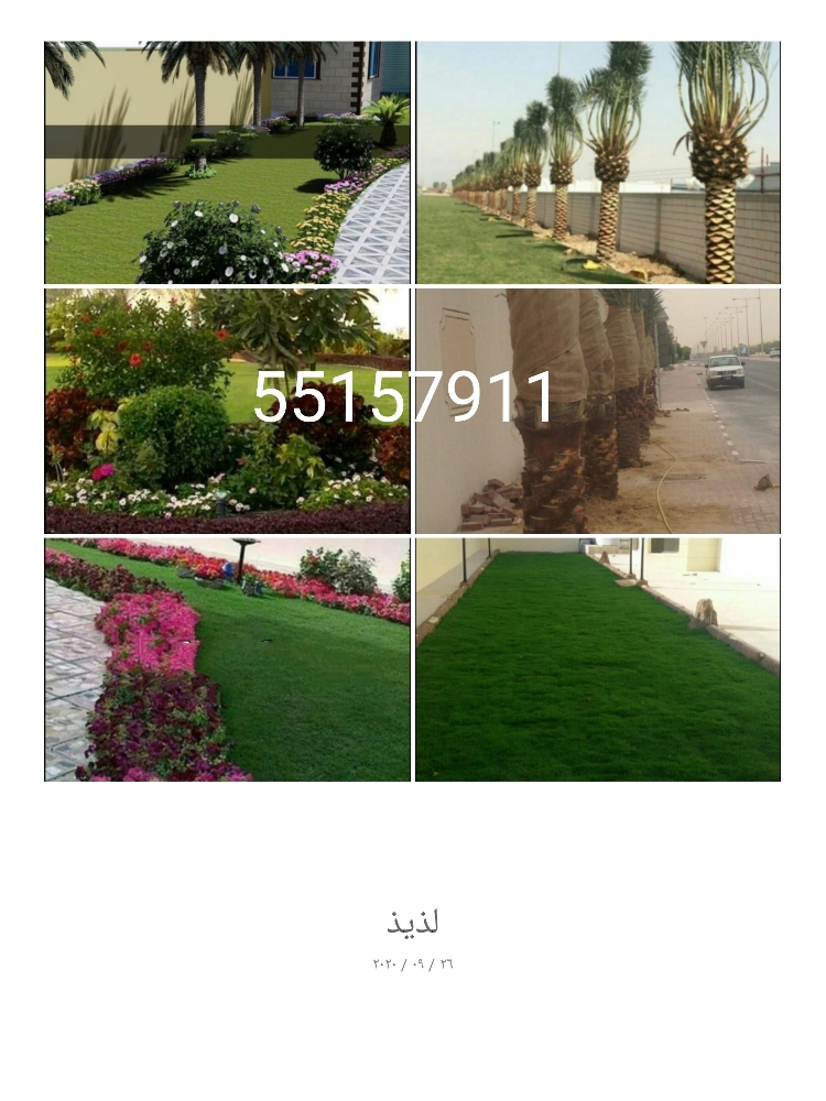 ديكورات حدائق - 2