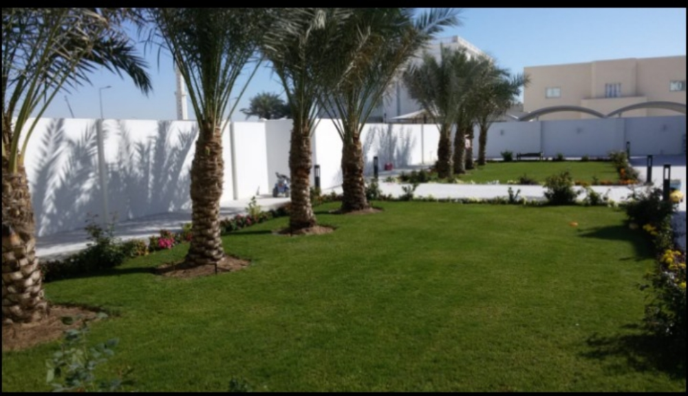 زراعة. - 1