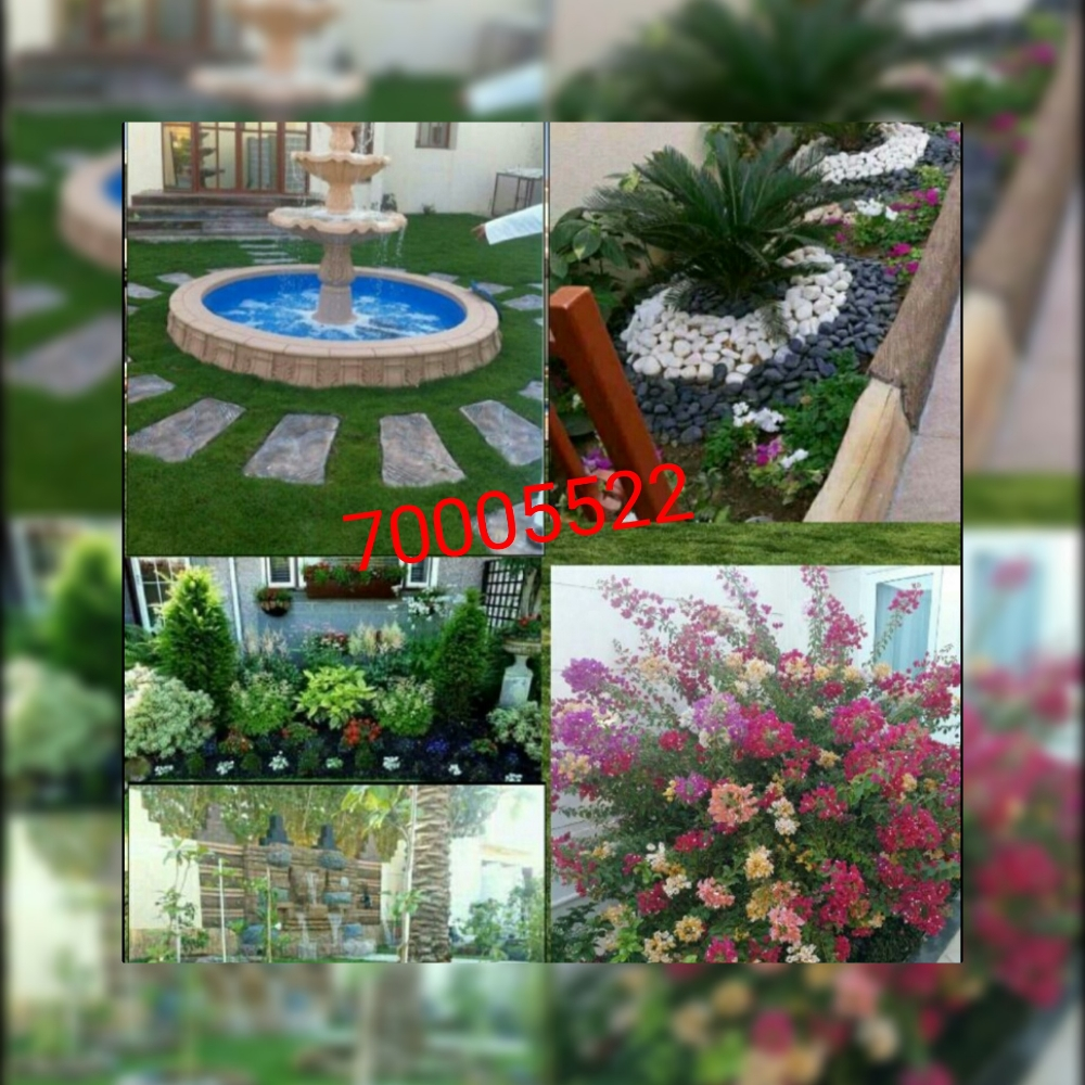 ديكور حدائق وصيانه شهرية - 1