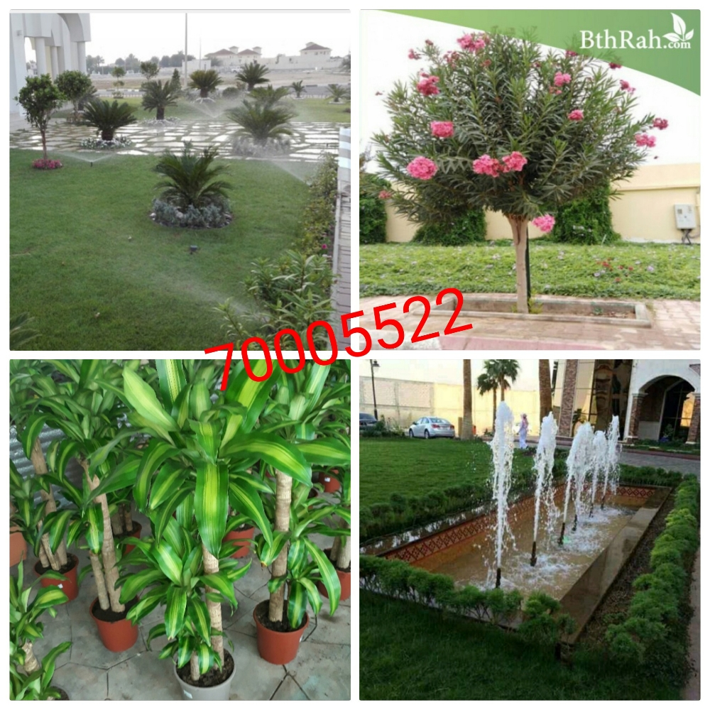 ديكور حدائق وصيانه شهرية - 2
