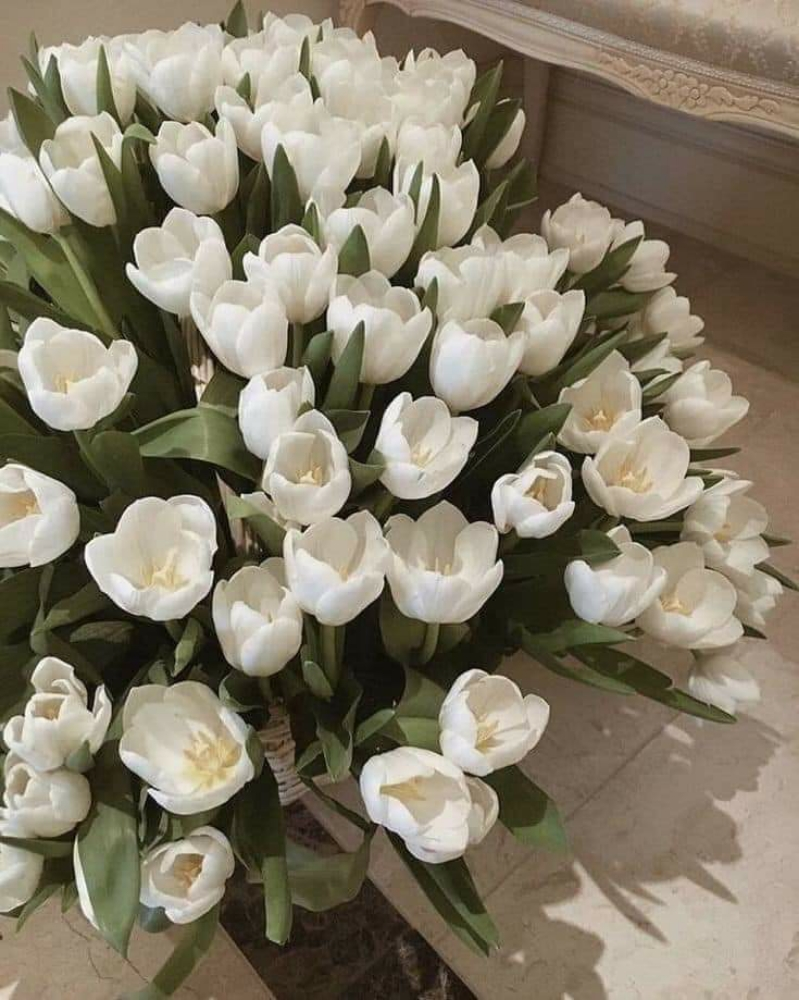 مدرسة سودانية - 1