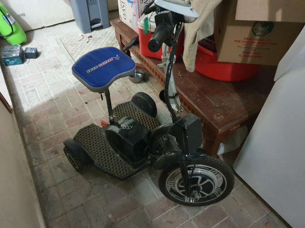 electric bicycle - 1