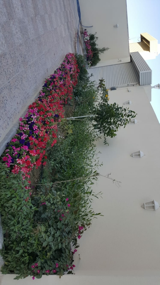 منسق حدائق - 2