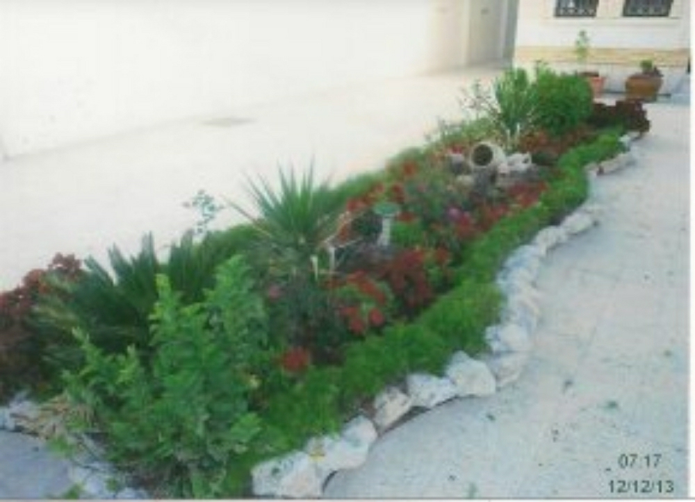 مجموعة زراعة وتنسيق الحدائق - 1
