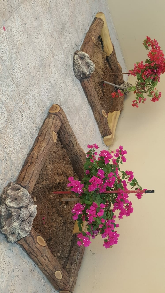 منسق حدائق 55504810 - 2