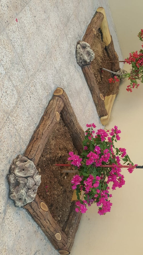 منسق حدائق 55504810 - 5