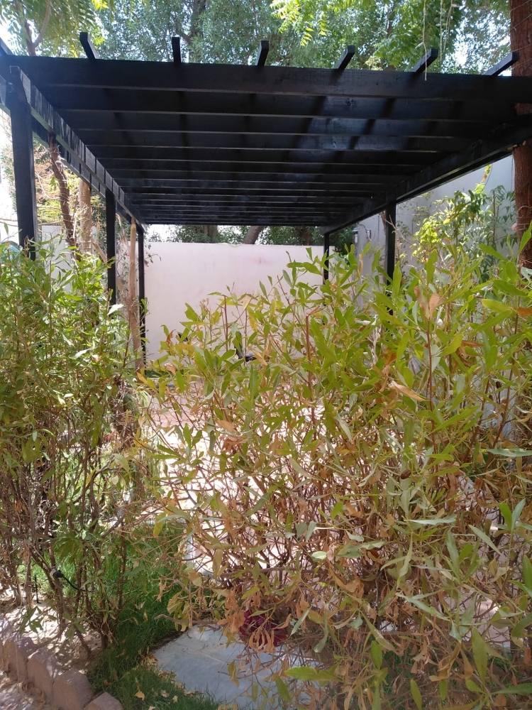 making Mudulla with decor and... - 11