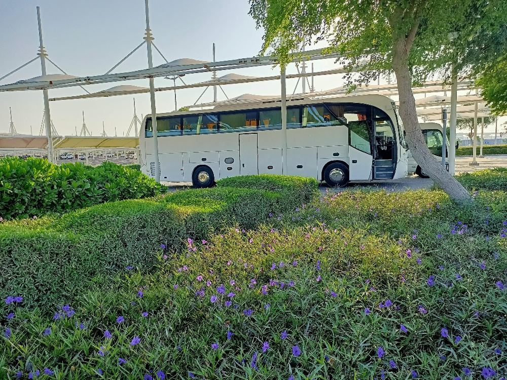 ياسر - 6