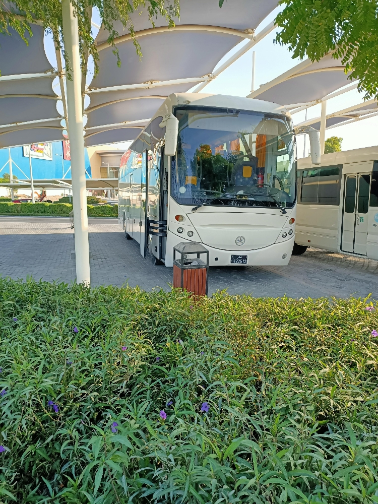 ياسر - 5