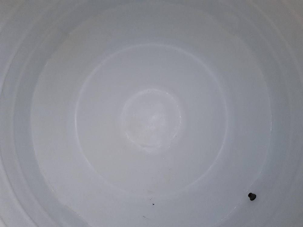 water tank maintenance - 4