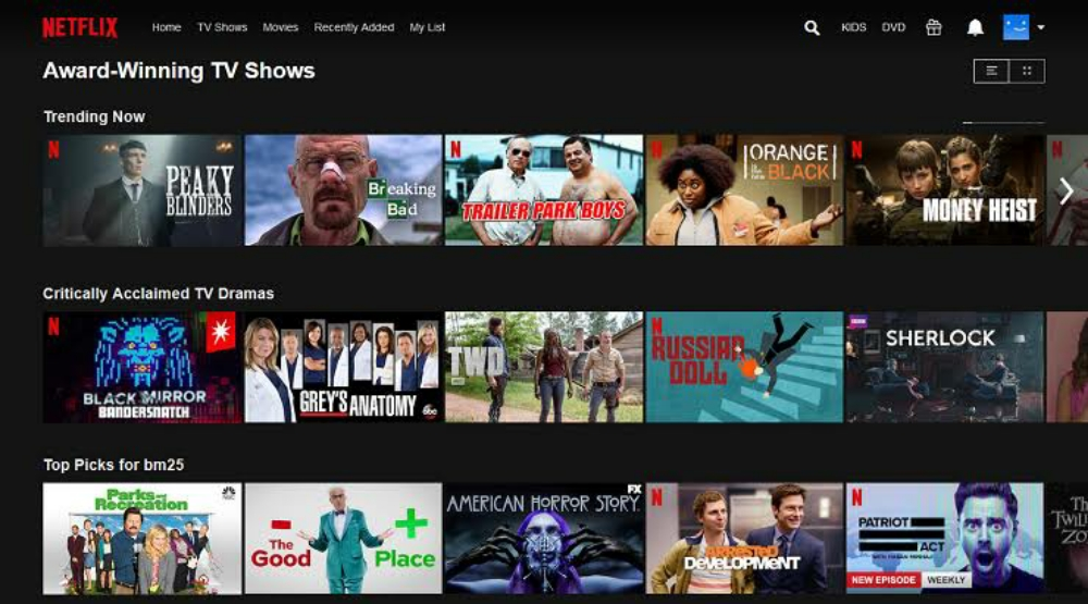 Netflix account - 4