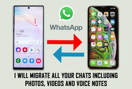WhatsApp Transfer - 1