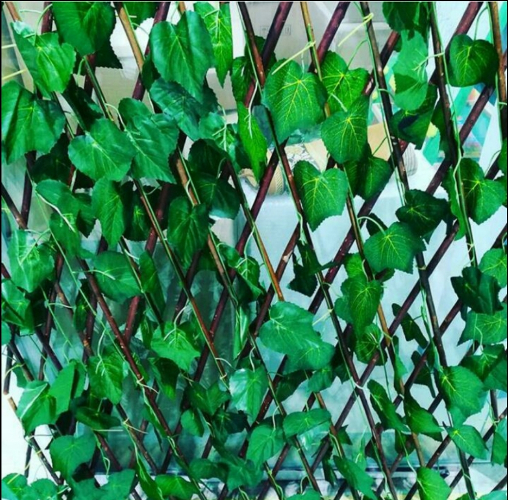 Green leaf and grass carpet avail - 7