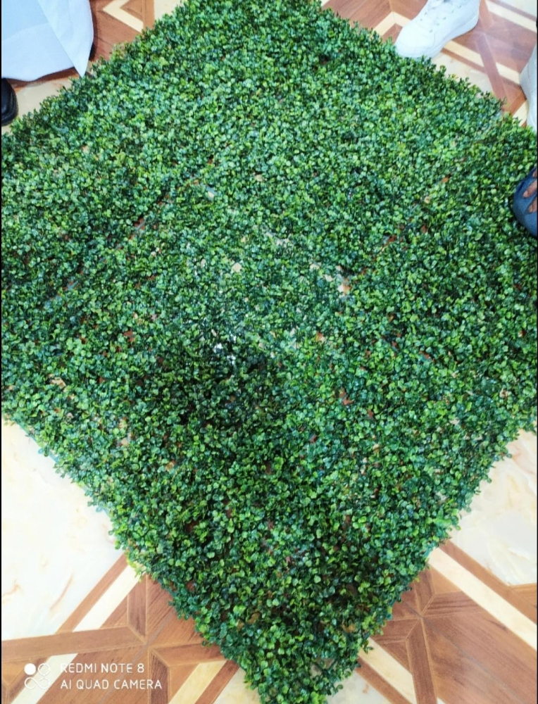 Green leaf and grass carpet avail - 3