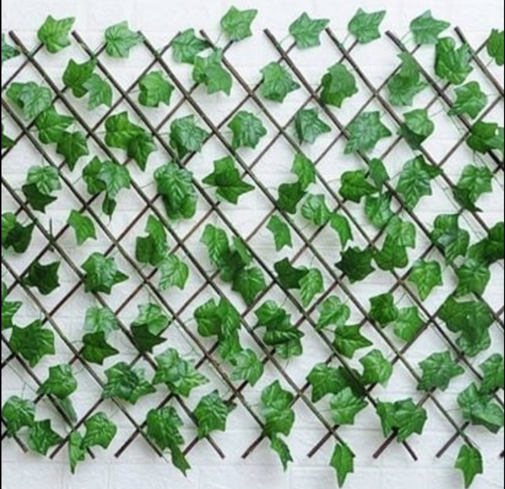 Green leaf and grass carpet avail - 5