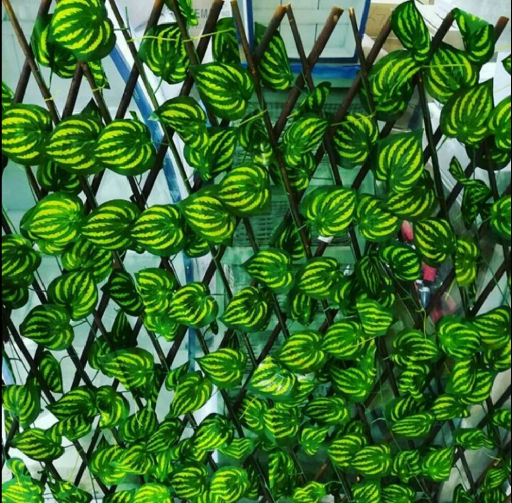 Green leaf and grass carpet avail - 6