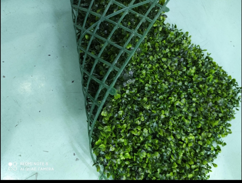 Green leaf and grass carpet avail - 2