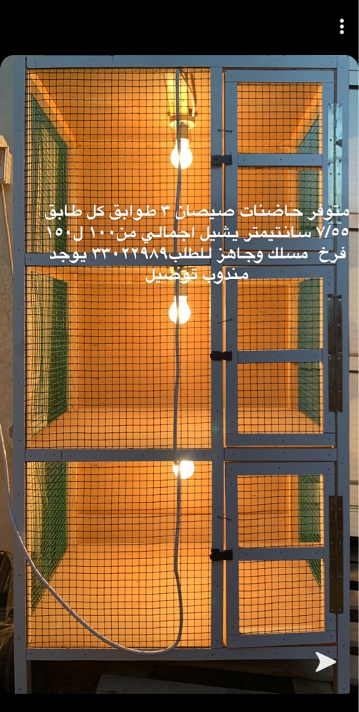 Equipped incubators for sale - 2