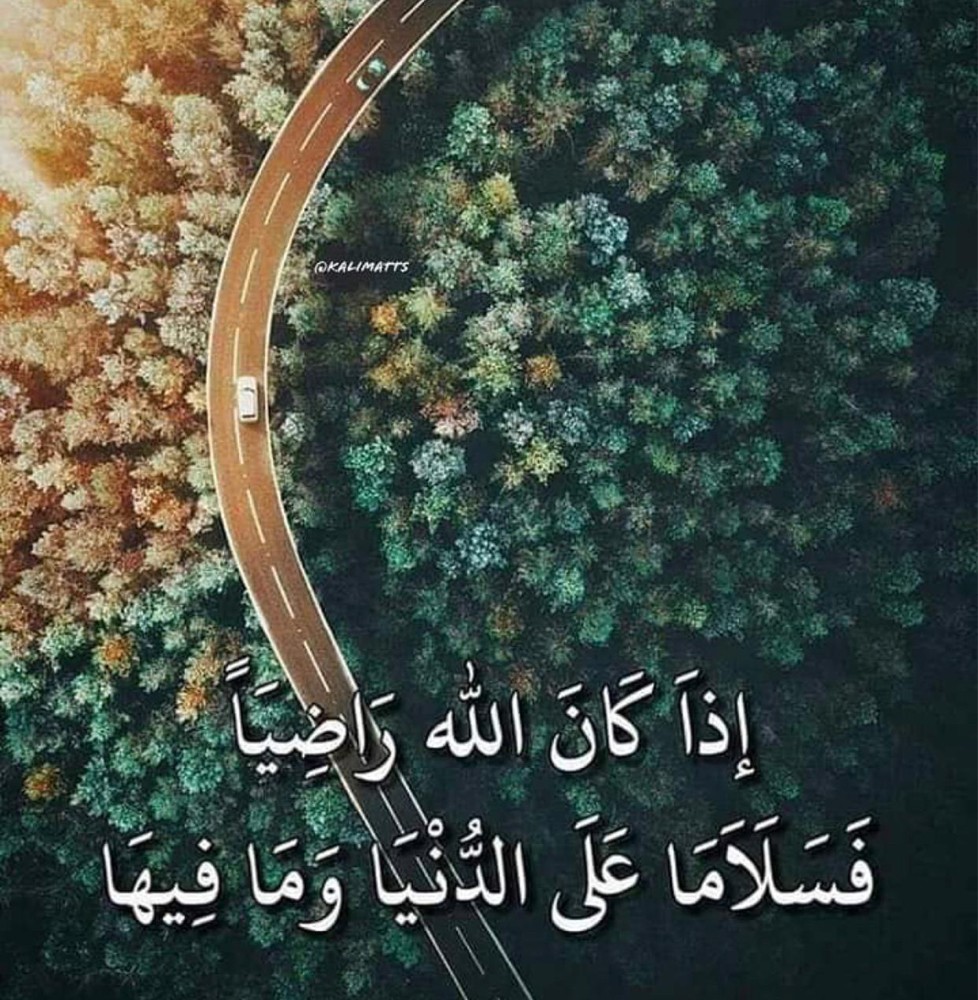رياضيات خبره اكثرمن 25عاما - 3