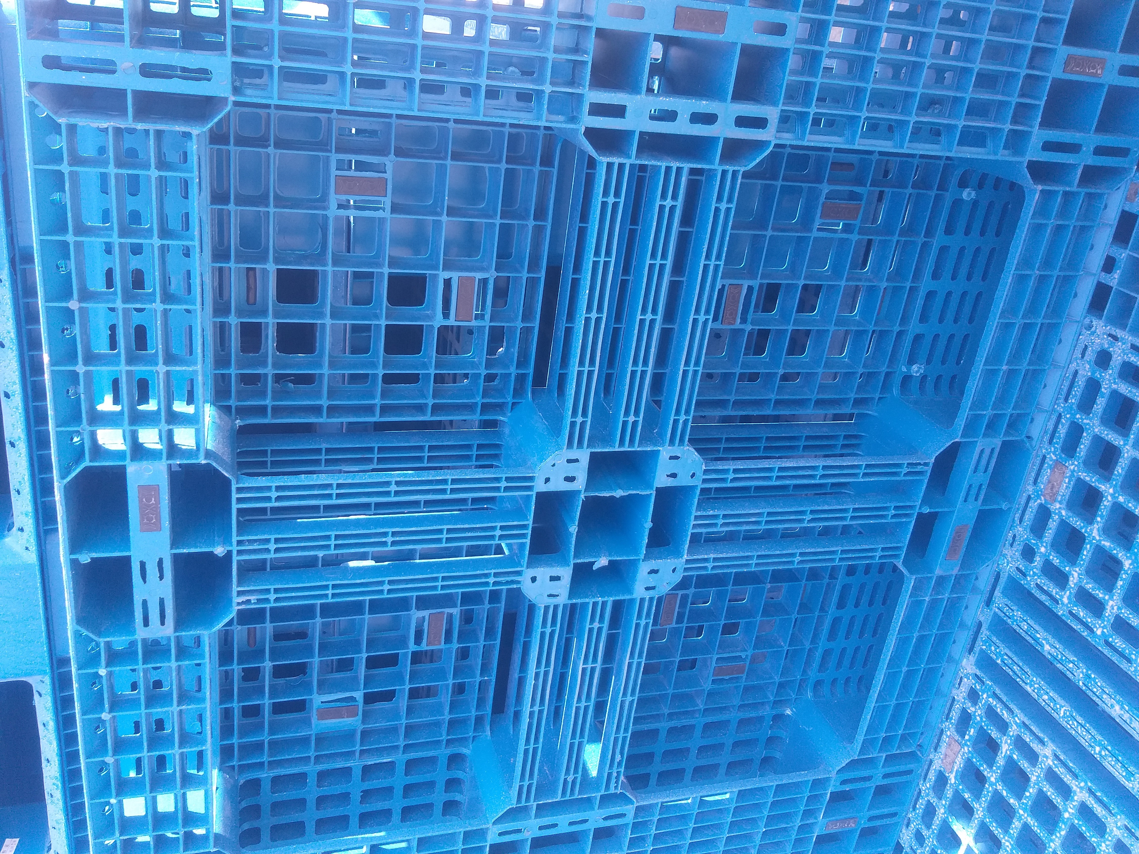 Plastic pallets for sale - 1