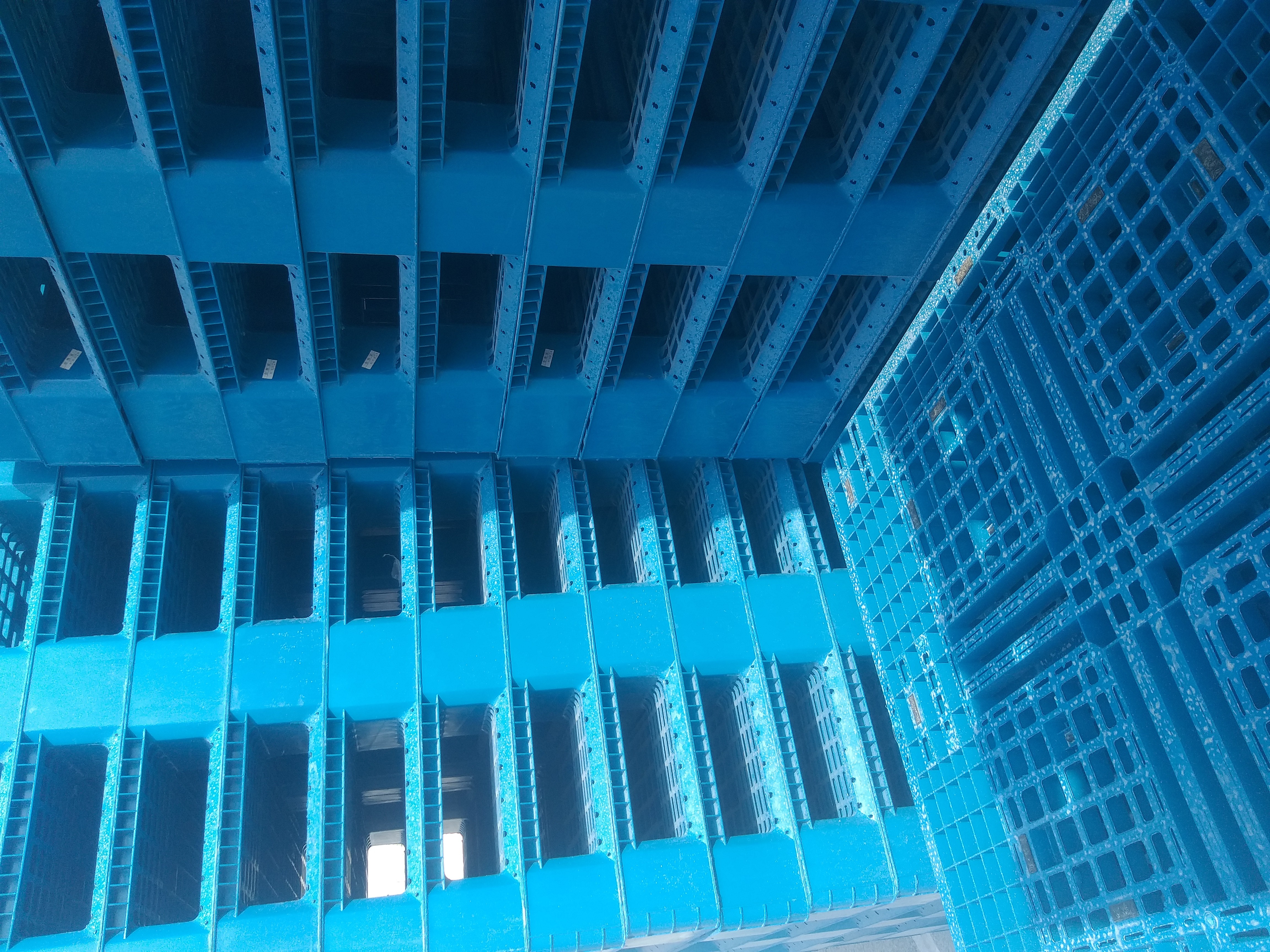 Plastic pallets for sale - 3