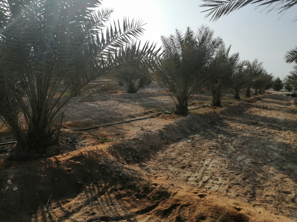 مسابح وابراج حمام - 7