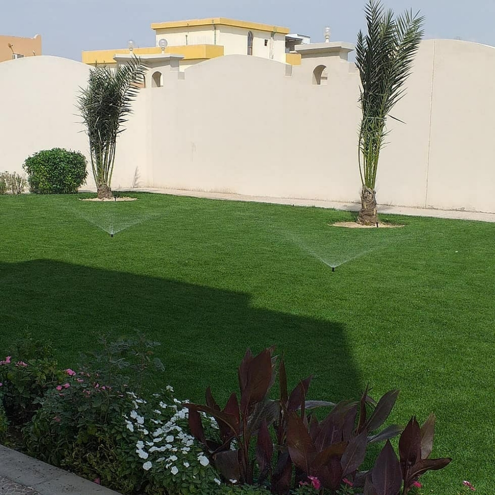 الزراعه العصريه - 3