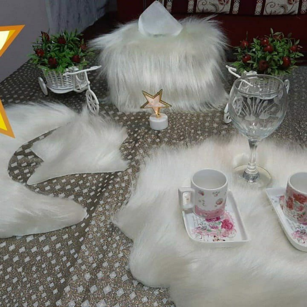 ش فرو زينه - 1