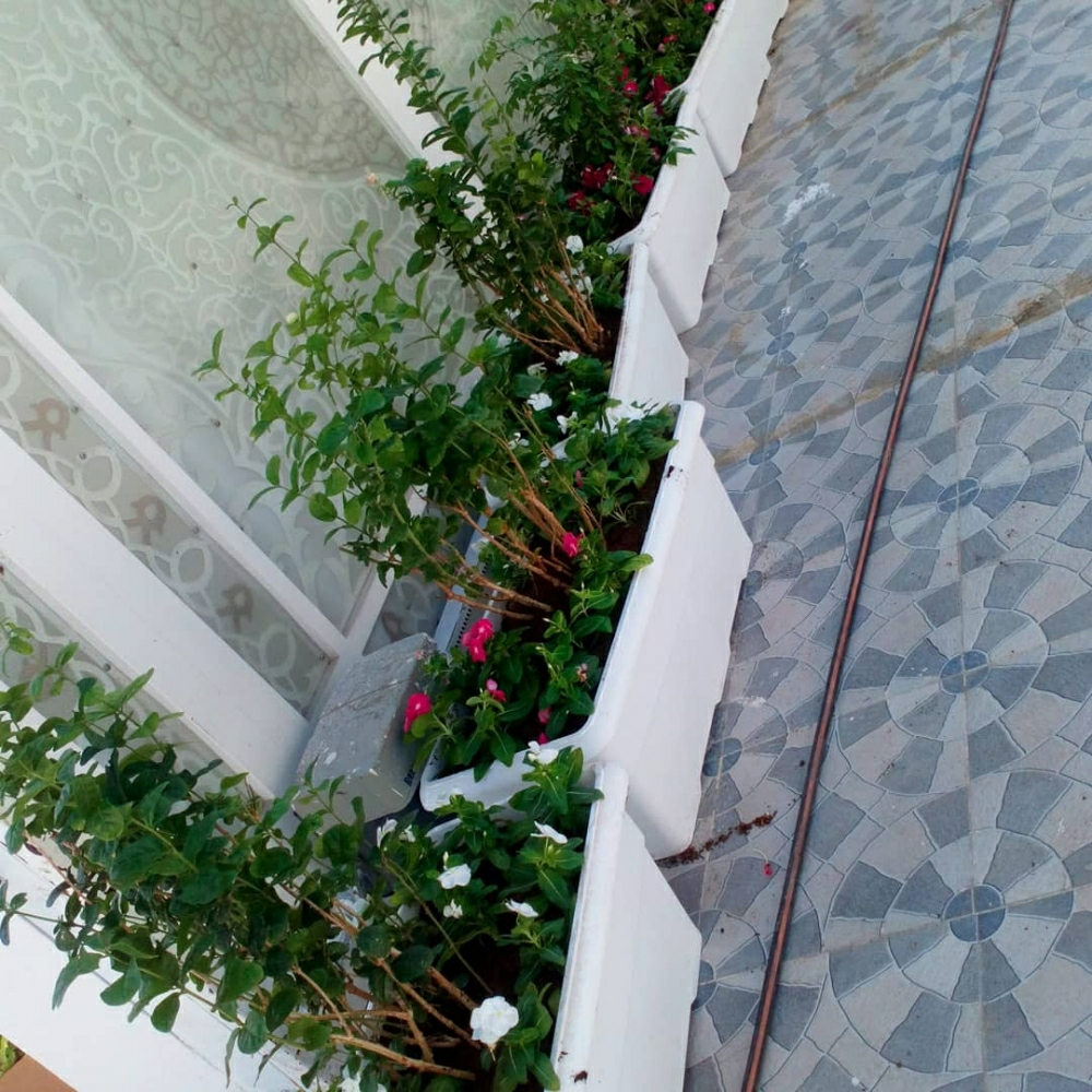 عمل احواض زراعة - 2