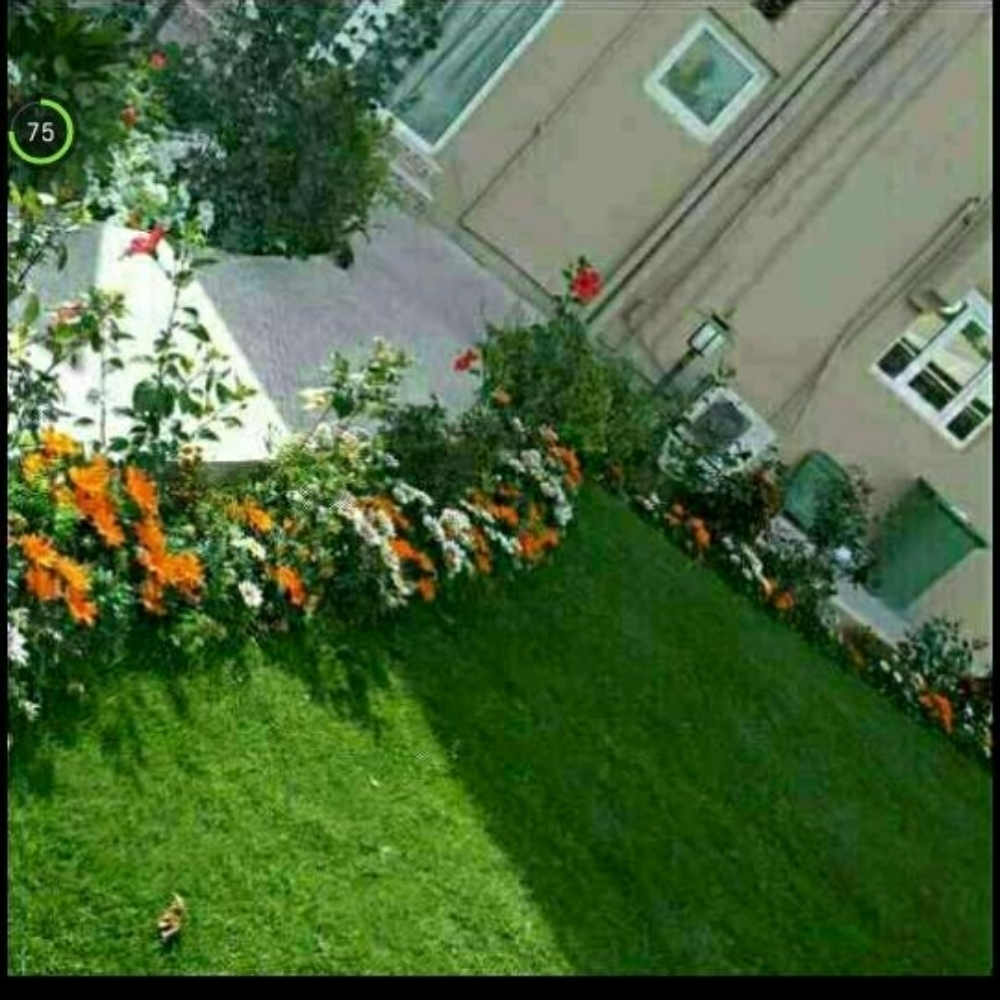 مزارع ومنسق حدائق - 1