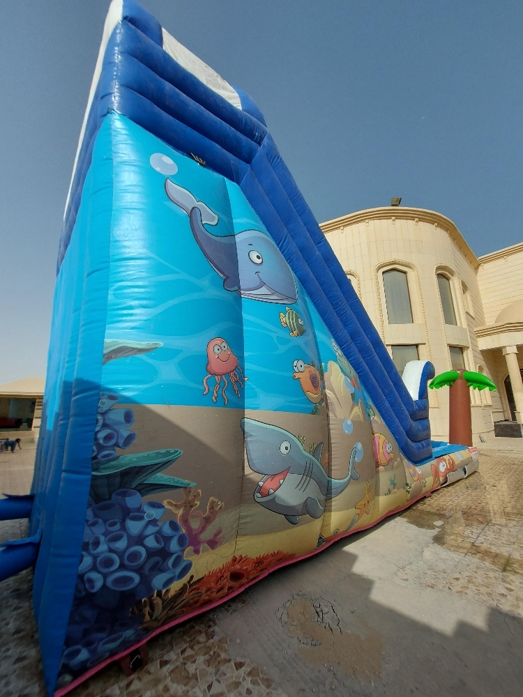 للايجار نطاطيات وزخلقيات  مع بركة - 4