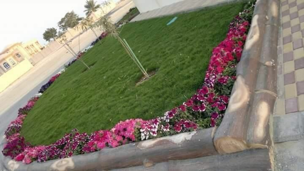 عمل الديكورات 55504810 - 4