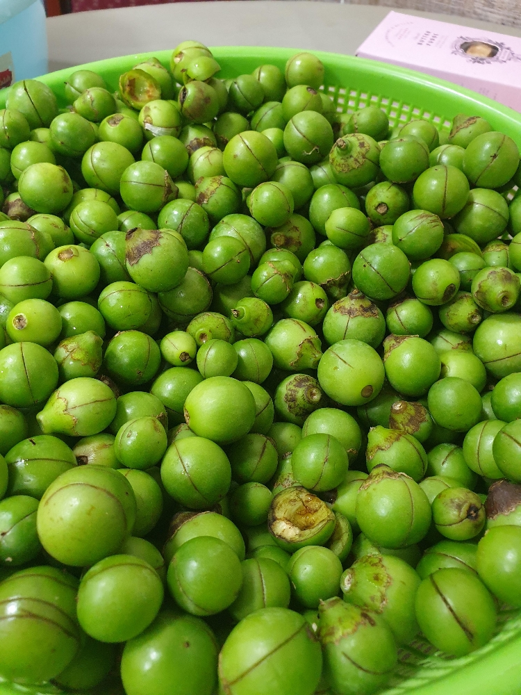 اجار بمبر  - 3