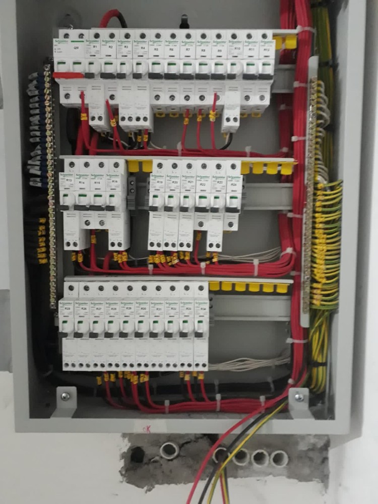 Electrition  - 1