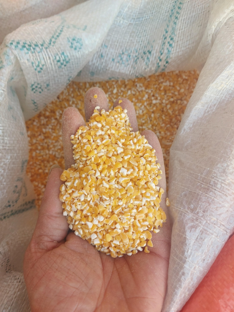 food for gacan - 10