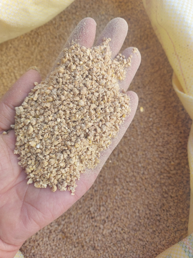 food for gacan - 5