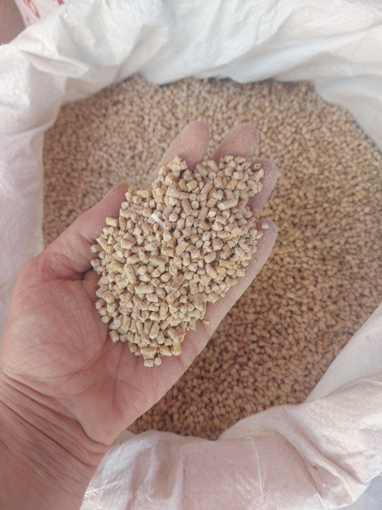 food for gacan - 6