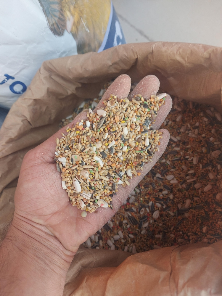 food for gacan - 14
