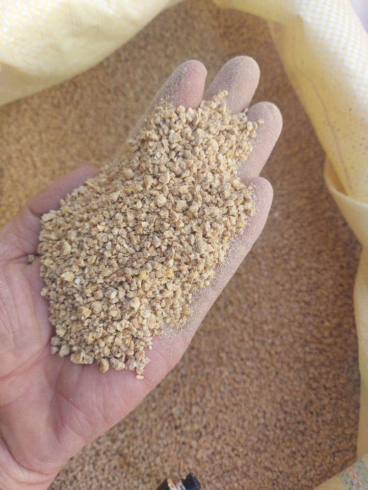 food for gacan - 4