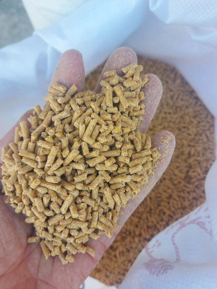 food for gacan - 9
