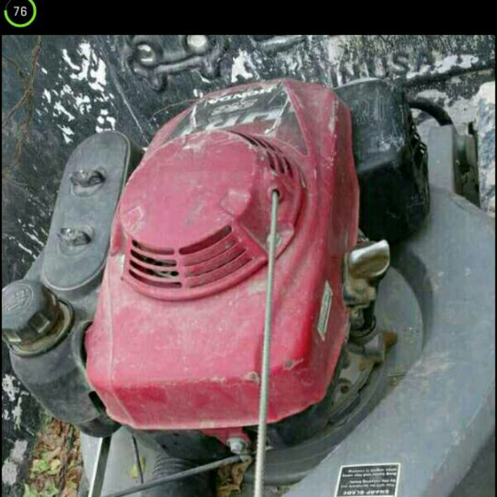 الحديقه - 1
