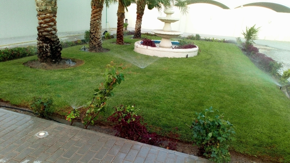 زراعة عشب طبيعي - 2