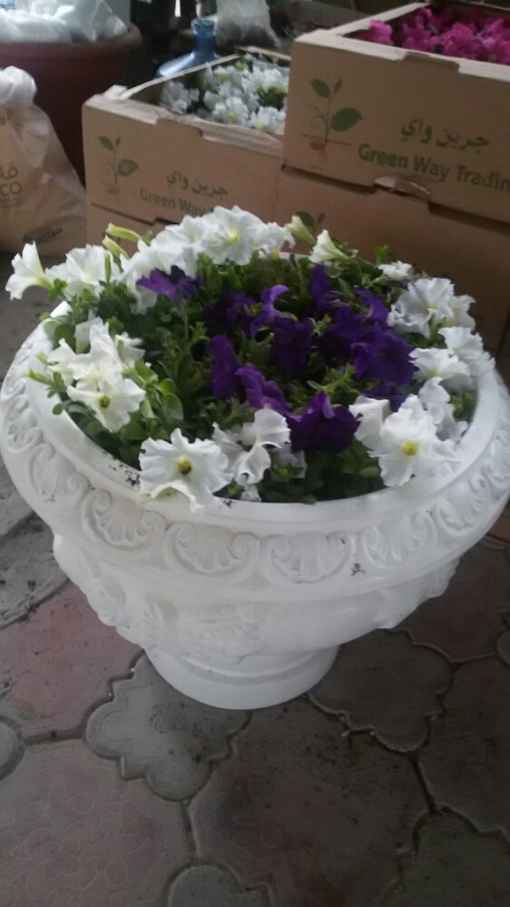 اصايص - 3