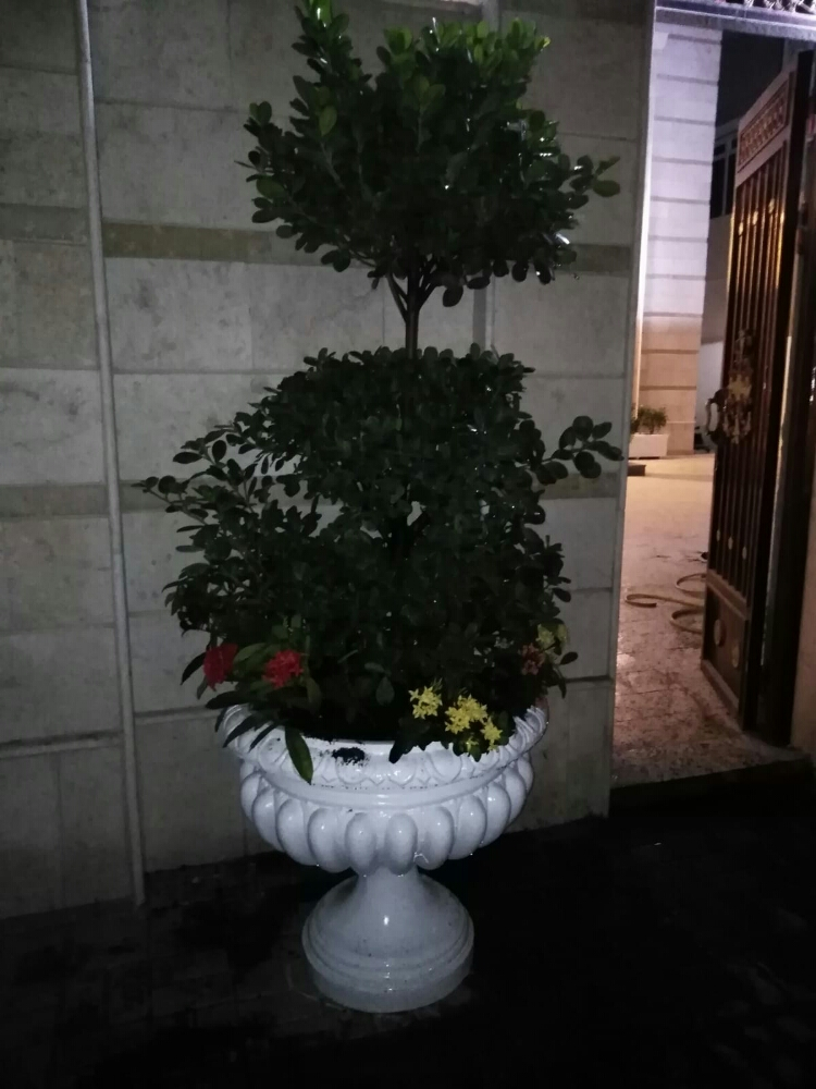 اصايص - 4