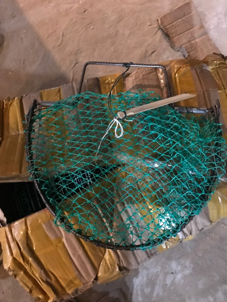 فخ شبك - 1