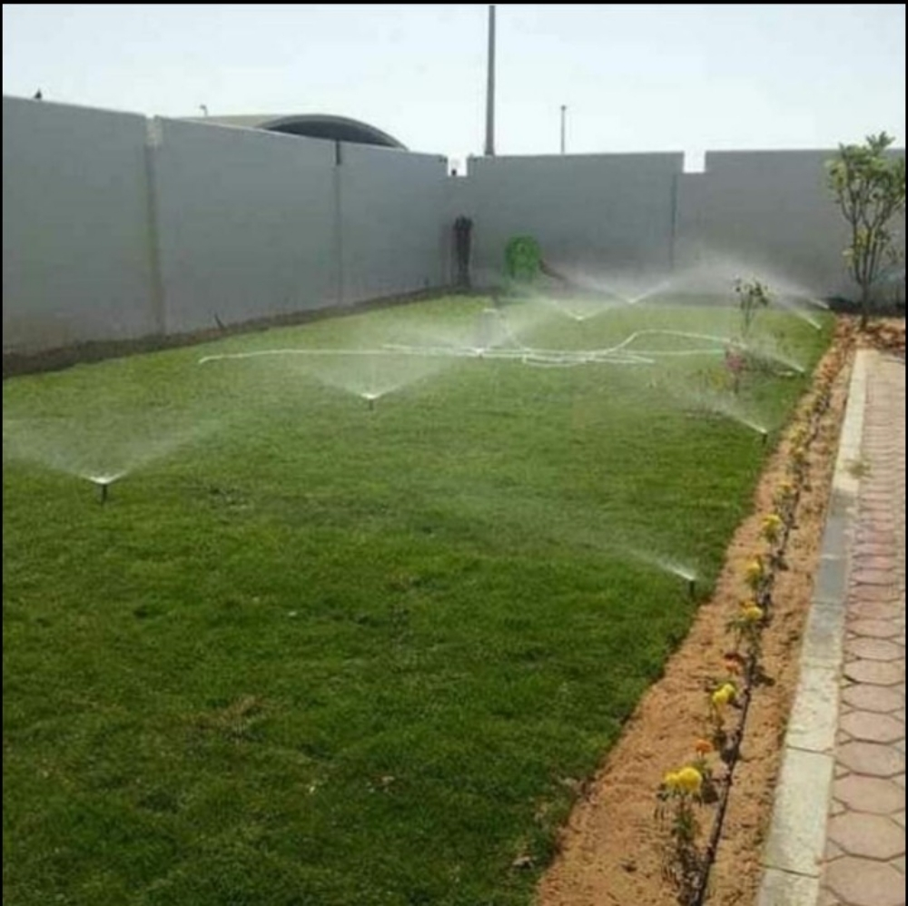 للعشب طبيعي وشبكات الري - 2