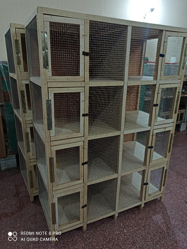 asafi house - 4