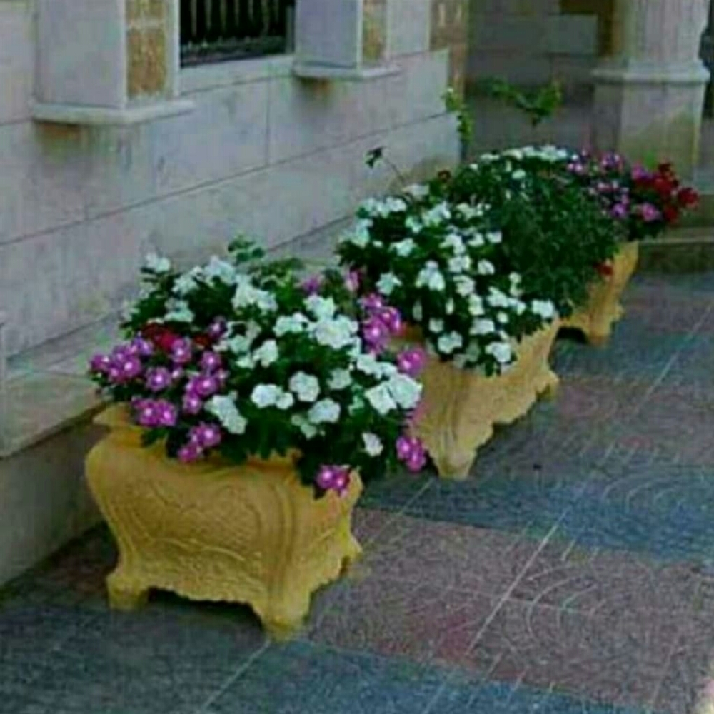 قصايص - 2
