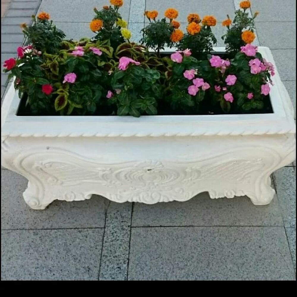 قصايص - 5